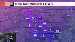 Daily Forecast 01 17 2024