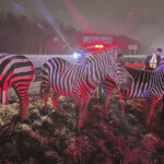 Circus Animals Rescued Fire
