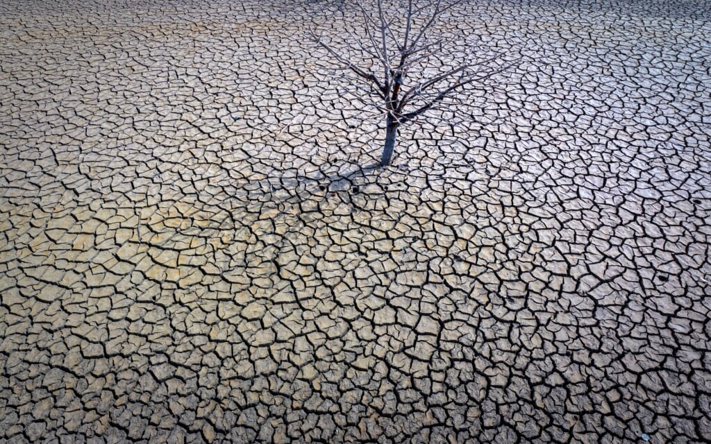 Hottest Year