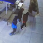 Suspects 2