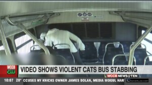 Video Shows Violent Cats Bus Stabbing