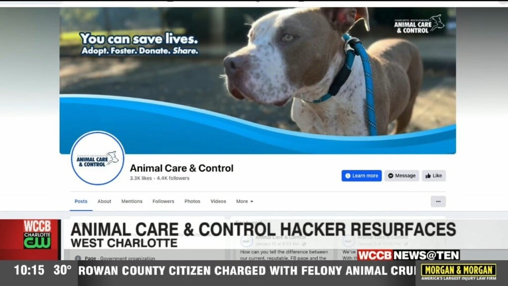 Facebook Hack Concerns Resurfacing For Charlotte Mecklenburg Animal Care & Control