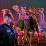 Circus Animals Rescued Fire