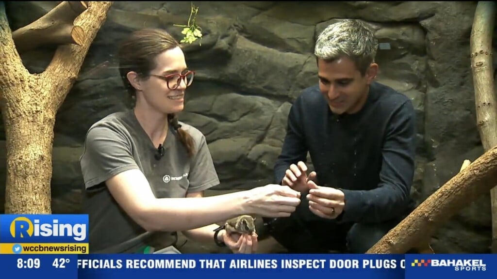 Up 'n Adam: Discovery Place Nature