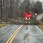 York County Tree Down