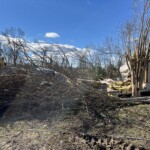 Claremont Clean Up 1