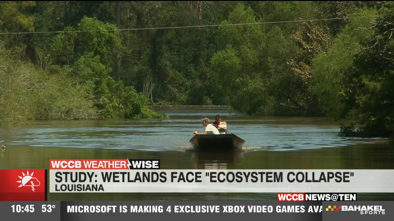 Study: Wetlands Face “Ecosystem Collapse” - WCCB Charlotte's CW