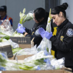 Valentines Day Flower Inspections