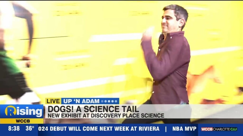 Up 'n Adam: Dogs! A Science Tail