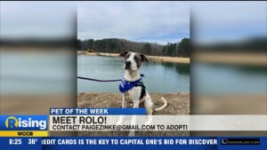 Pet Of The Week: Rolo