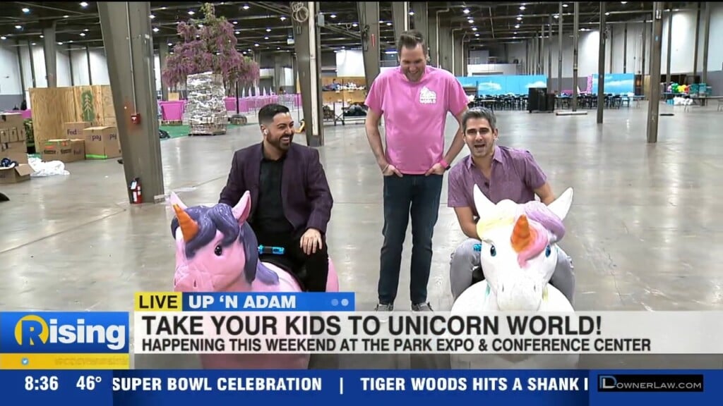 Up 'n Adam: Unicorn World