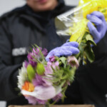 Valentines Day Flower Inspections