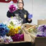 Valentines Day Flower Inspections
