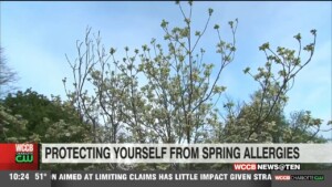 Early Blooms, Early Allergies