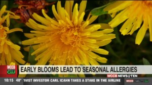 Early Blooms And Allergies