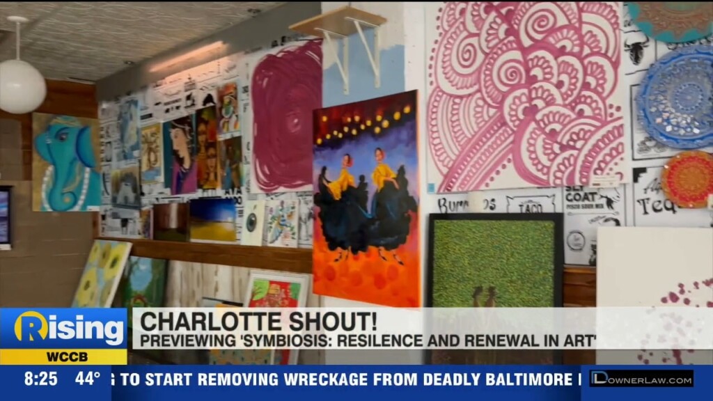 Charlotte Shout! Now Underway