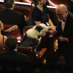 96th Academy Awards Show