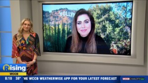 Royal Expert Interview