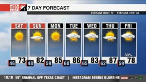 Beautiful Weekend On Tap