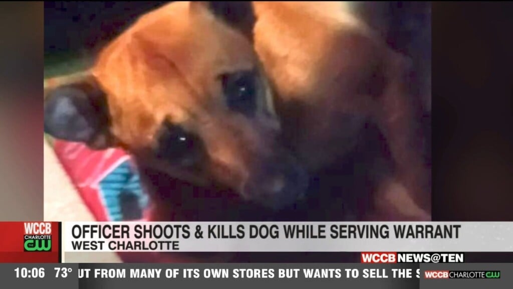 Two Dogs Killed By Cmpd Officers In Separate Incidents