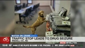 Traffic Stop Leads To Drug Seizure