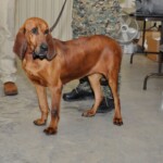 Gabby 3