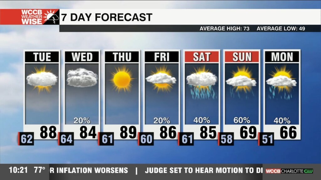 The Taste Of Summer Continues