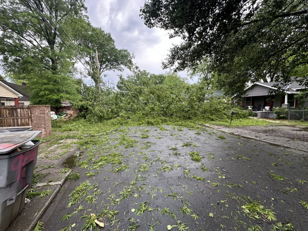 Rowan Street