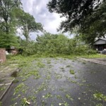 Rowan Street