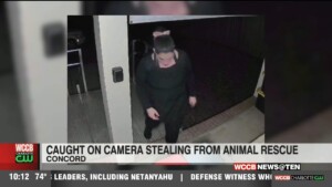 Caught On Camera Stealing From Animal Rescue