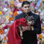 The Pet Gala 2024