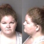 Cynthia Neal Probation Violation