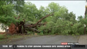 Northwest Charlotte Storm Damage