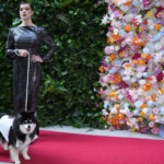 The Pet Gala 2024