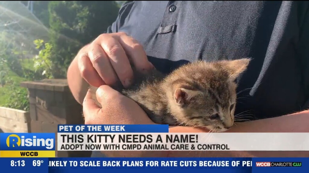 Pet Of The Week