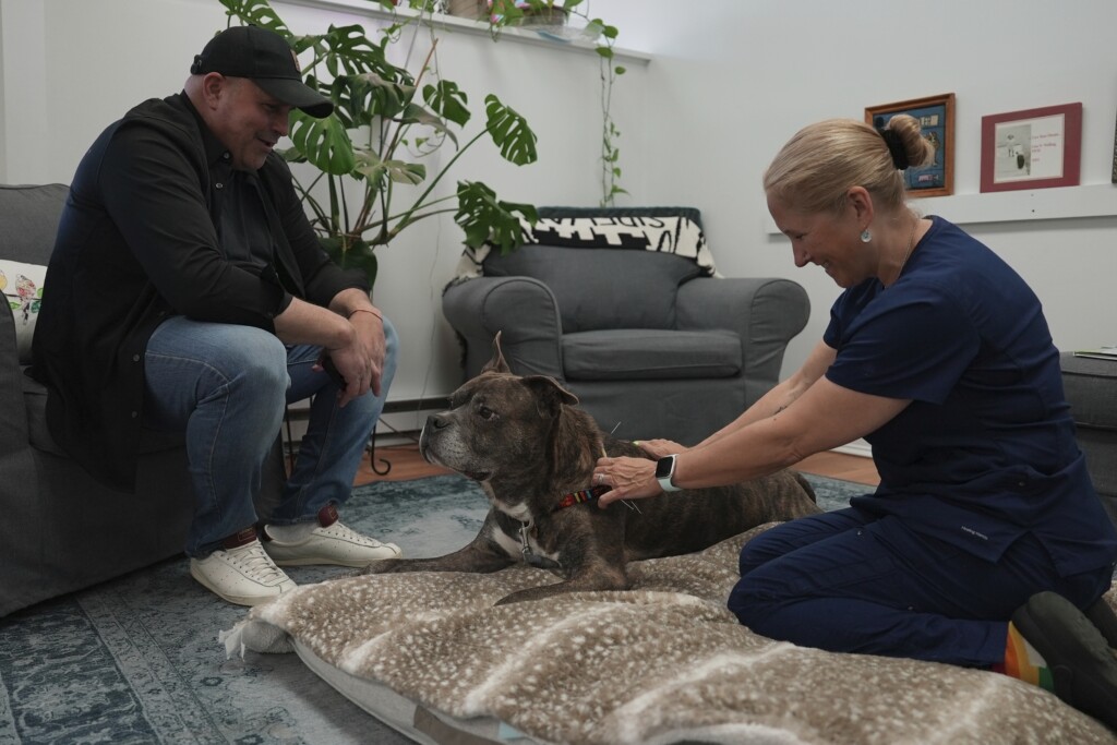 Wellness End Of Life Care Pets
