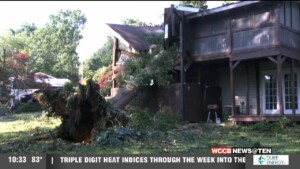 Tuesday Storms Down Trees, Destroy Houses In Lincoln County