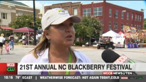 21st Annual Nc Blackberry Festival