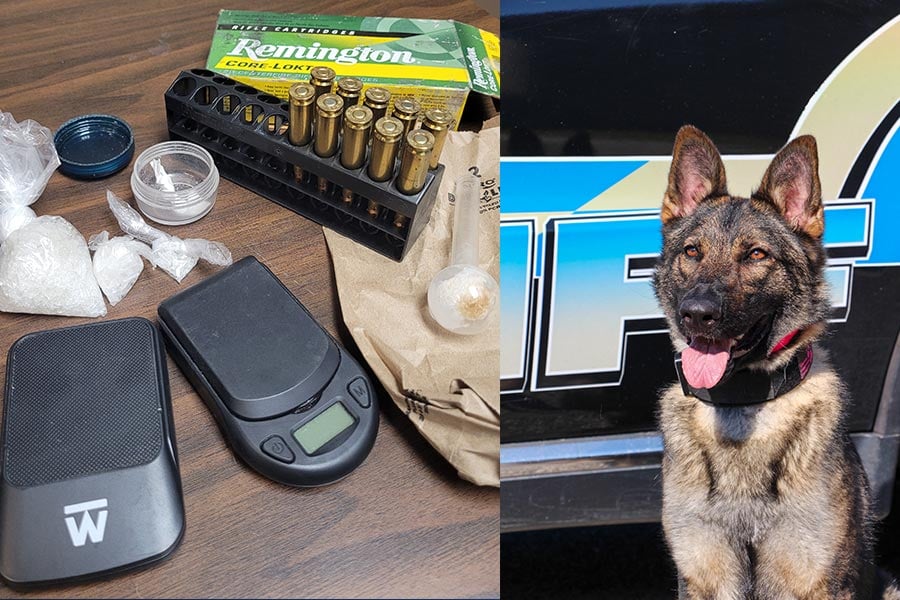 Chester County Drug Arrest