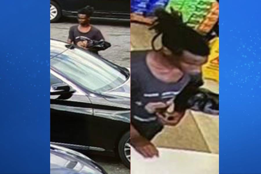 York County Vehicle Theft