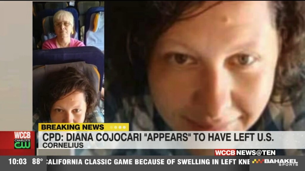 Cornelius Pd Confirms Diana Cojocari “appears” To Have Left America