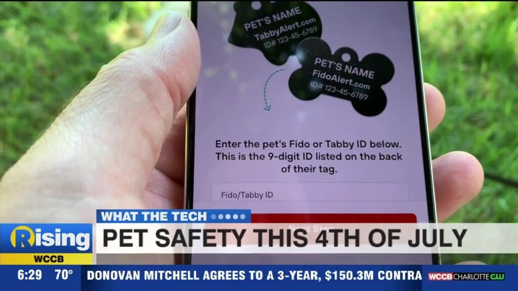 What The Tech: Pet Safety This 4th Of July