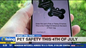 What The Tech: Pet Safety This 4th Of July