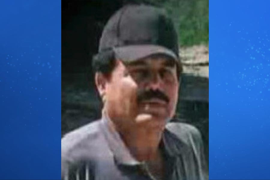 El Mayo Cartel Arrest