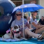 Lake Norman Humane