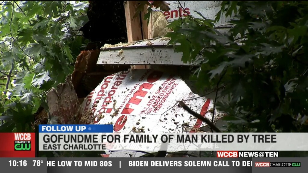 Gofundme For Family Of Man Killed By Tree