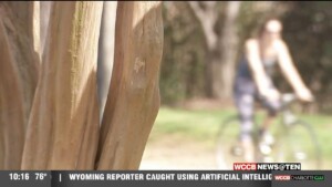 New Park Being Built In East Charlotte