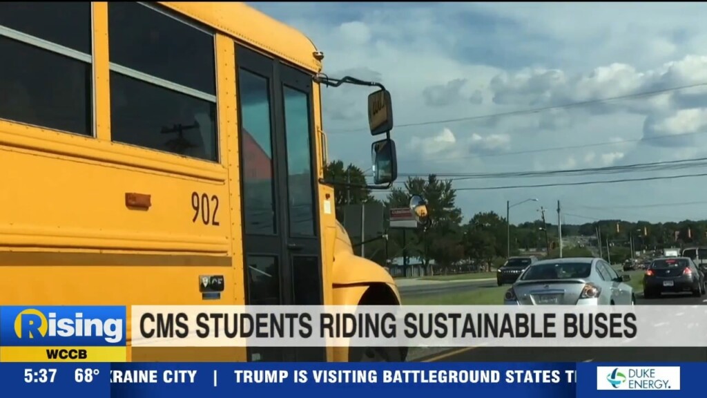Cms Buses