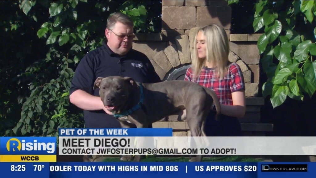 Pet Of The Week: Meet Diego!