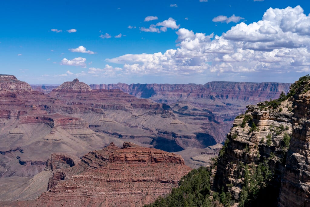 Biden Grand Canyon